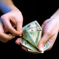 Photo by Igal Ness on Unsplash